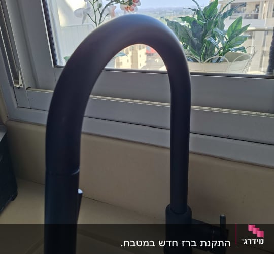 ברז שחור ליד חלון עם צמחים